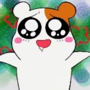 악어화장실 이미지