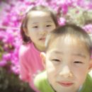 보율 이미지