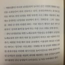현대동물병원 애견용품 이미지