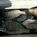 갯바위펜션 이미지