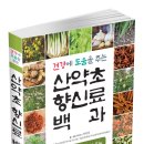 산약초 뉴시스