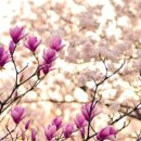 혜민서한의원 이미지