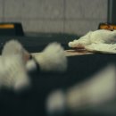 즐거움이오는곳이래