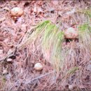 달빛농장 이미지