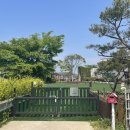 애견펜션 돌봄 이미지