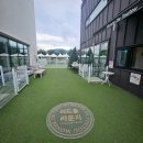 몽드드뚜뚜 | 근교 포천 소형견과 중대형견이 나눠진 공간으로 이뤄진 깔끔하고 넓은 애견운동장, 애견카페 몽드드뚜뚜