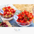 하금농장 이미지