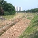 덕산초교 옆 이미지