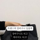 트랜스픽