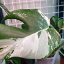 (주)다원아이디 이미지