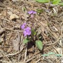 물내치기 이미지