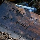 창수목장 이미지