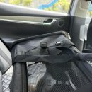 영천시농업기술센터_유기동물보호소 | 포인핸드 반려견 입양후기_여수시유기동물보호소