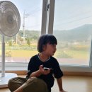 BLDC 선풍기 추천 보만 14인치 저소음 24단 초미세풍 후기