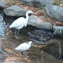 산타가 맞아준 겨울 학교에서 이미지