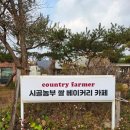 해밀농원 | [강화 길상면] 바다가 보이는 카페, 애견동반 가눙 카페, 디저트 맛집, 두바이 디저트를 판매하는 시골...