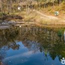 섬강목장 이미지