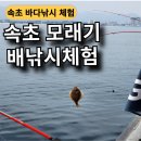 모래기슈퍼 | [속초 모래기 배 낚시 체험] 초보자도 쉽게 체험할 수 있는 바다낚시 체험후기