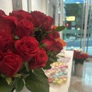 방배4동천주교회 이미지