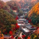 단양소백산가는길민박 | 소백산이 품은 사찰 단양 구인사‖소원 하나는 꼭 들어준다는 영험한 기도처