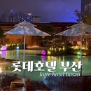 종이배커피 | [부산 부산진구] 롯데호텔 부산 디럭스 더블 더블룸ㅣ수영장(1탄) 작년 후기