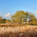 생활야구장 화장실 이미지