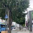 부산대표가구디자인 | 한샘 부산 좌천점 [부산 가구점]