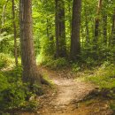 도심코스 이미지