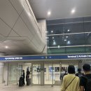 771 | 대한항공 KE771(인천-오카야마) 탑승 후기(좌석, 기내식, 지연여부, 카운터 등), 오카야마 공항에서...