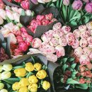 플로리스트앤 이미지