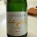 플라마 | 스페인 스파클링 와인 플라마 도르 까바 브뤼 와인리뷰