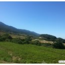 (주)올참