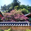 장수황씨종택 이미지