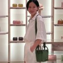 로로피아나 베일백 (가방) 이미지