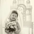 노블레스스튜디오 이미지
