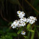 고제면 봉계리 이미지