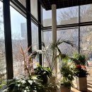 풀하우스 | 아난티코드 가평 무라타하우스 히노끼탕 vs 풀하우스 비교 후기