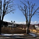 사파리 - 사상구 사상로233번길 10-7 | 에버랜드 사파리 Q패스 후기 예약 방법 대기시간 평일 꿀팁