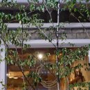 노이알트 이미지