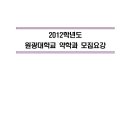 2012학년도 원광대 약학과 입학 모집요강(가나) 이미지