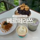 카페베르떼 | [경기/파주] 베르떼라쓰 | 파주 프로방스 대형 온실 카페 솔직 후기