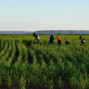 정정농장 이미지