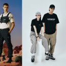 월드와이드비즈 이미지