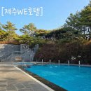 청정원목 | ​[제주 숙소 추천] WE호텔 제주 슈페리어룸 청정 숲뷰와 수영장 뽕 뽑은 1박 2일 호캉스 후기