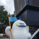 남이섬 방문기 첫 번째 후기_스카이라인 짚와이어 도전/케이텍 무전기