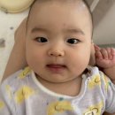 고음농장 이미지