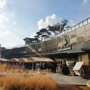 LAFORESTA(라포레스타) 이미지