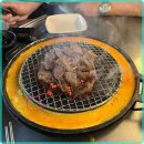 신마포갈매기 이미지