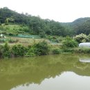 무등1지 이미지