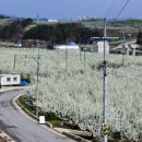 뚱땡이네 이미지